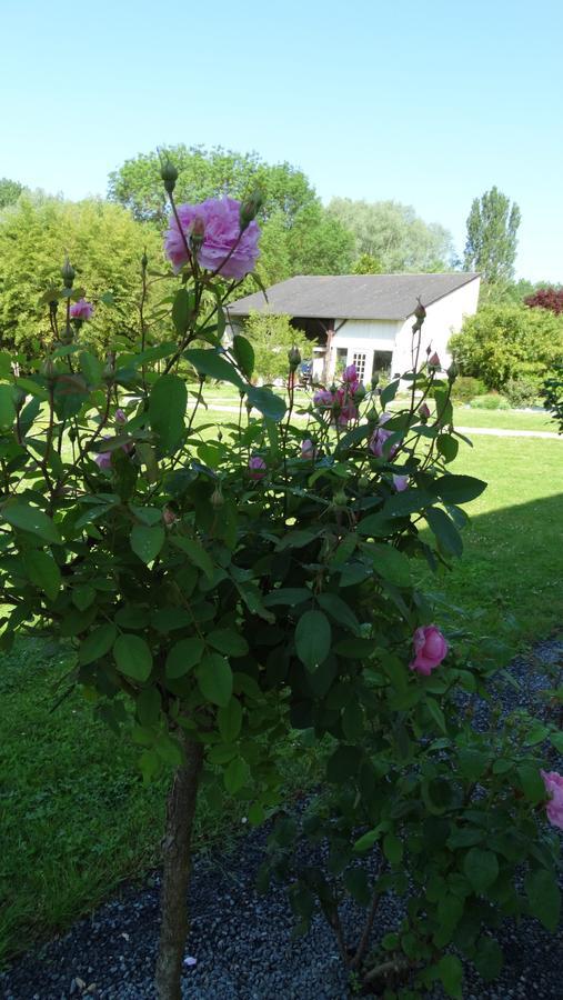 Bed and Breakfast Moulin De Reigner Anché Exterior foto
